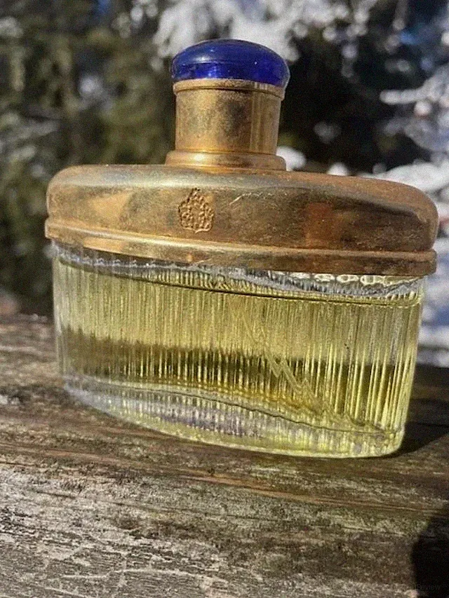RARE VICTORIA by VICTORIA'S SECRET COLOGNE PERFUME SPRAY 1.7 Oz